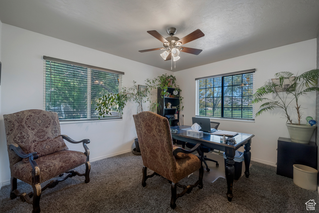 Photo 11 for MLS #2109526 at 3214 E Golden Eagle Rd