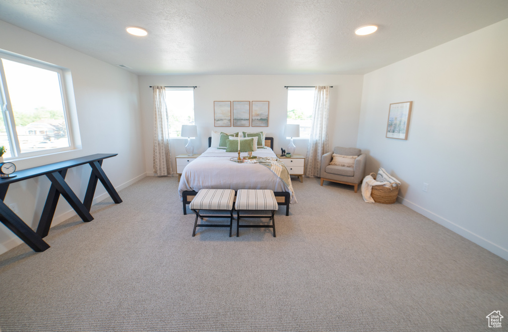 Photo 12 for MLS #2109558 at 3550 W Franco Court