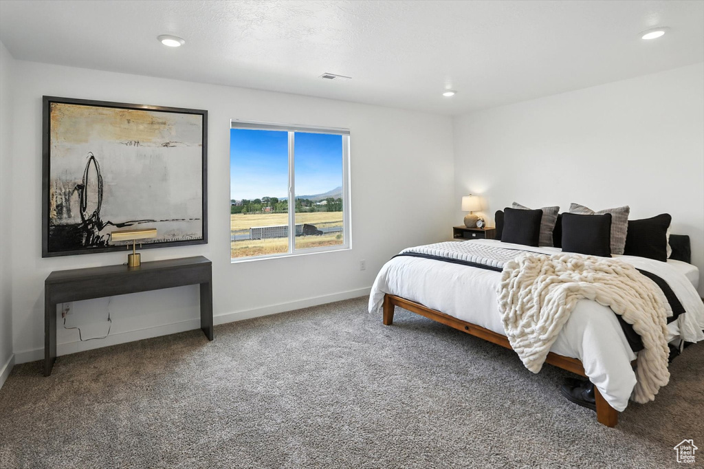 Photo 9 for MLS #2109563 at 1252 S Raintree Ln