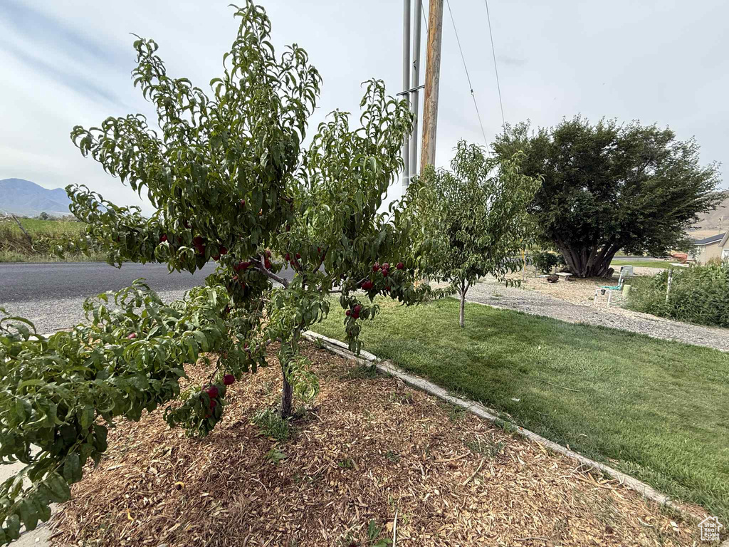 4736 W 10000 S Payson, UT 84651