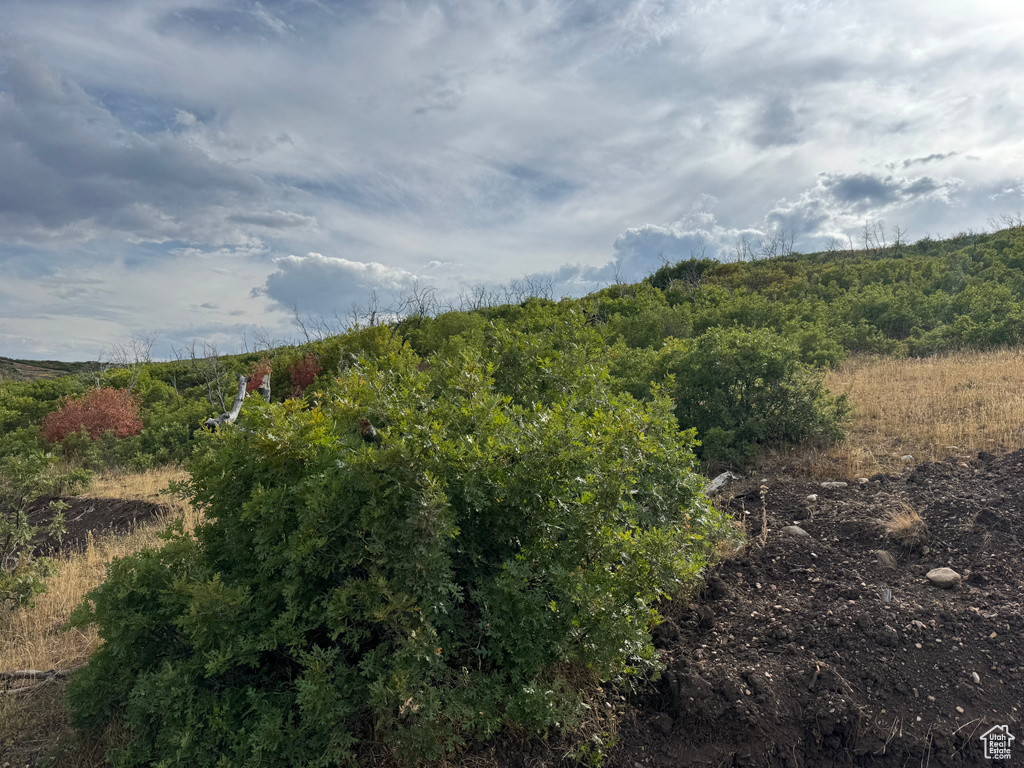 20 Q PUMA RD #Q20 Indianola, UT 84629