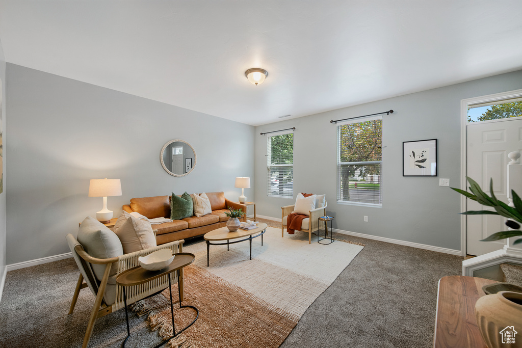11566 S GRANDVILLE AVE South Jordan, UT 84009