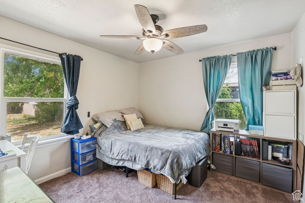 355 E MORGAN ST Layton, UT 84041