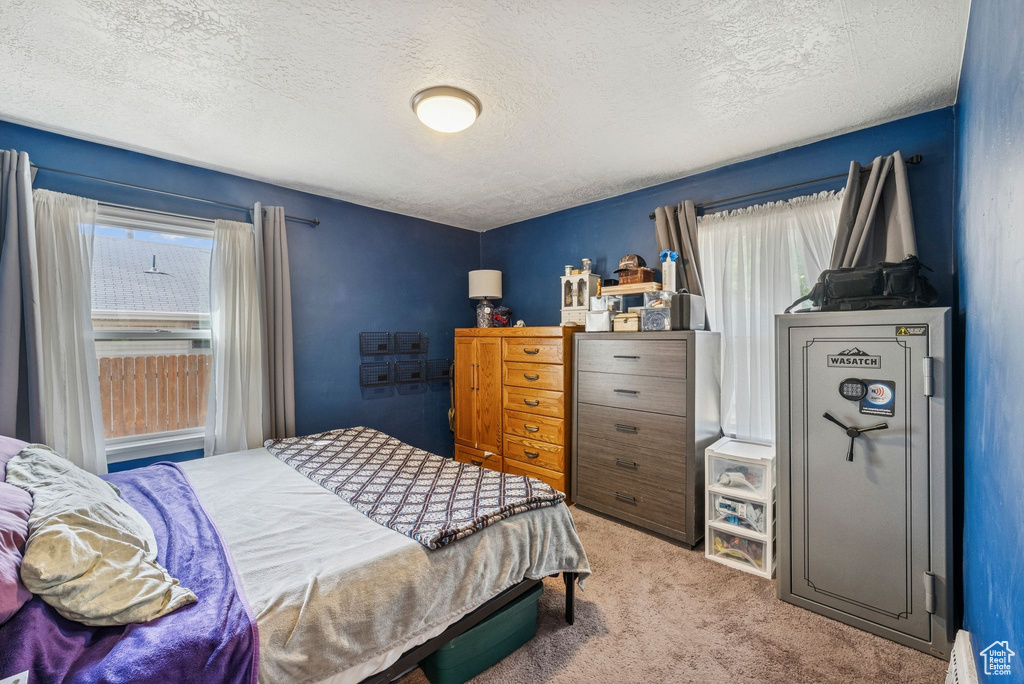 355 E MORGAN ST Layton, UT 84041