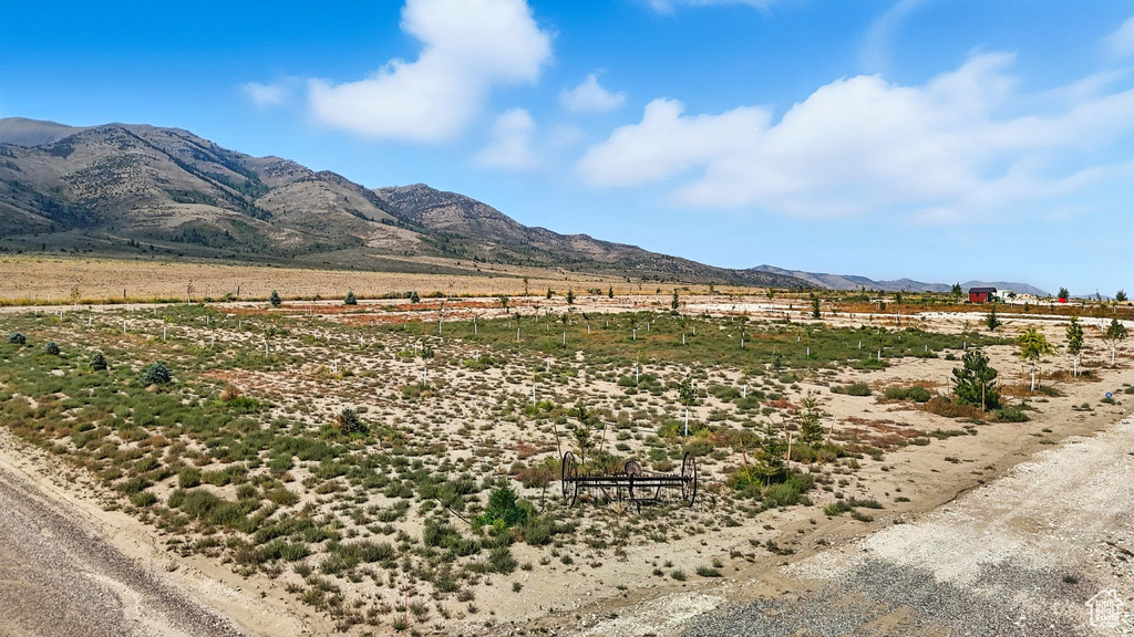 CEMETERY LN Arbon, ID 83212