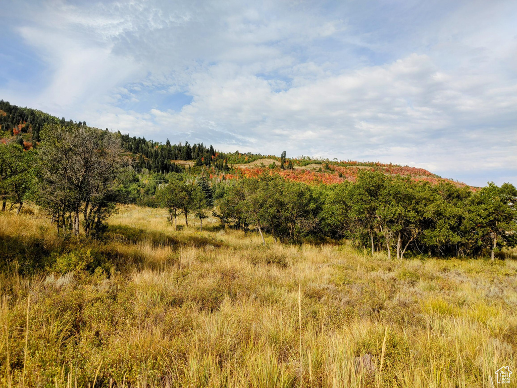 2514 S TIMBER LAKES DR Heber City, UT 84032