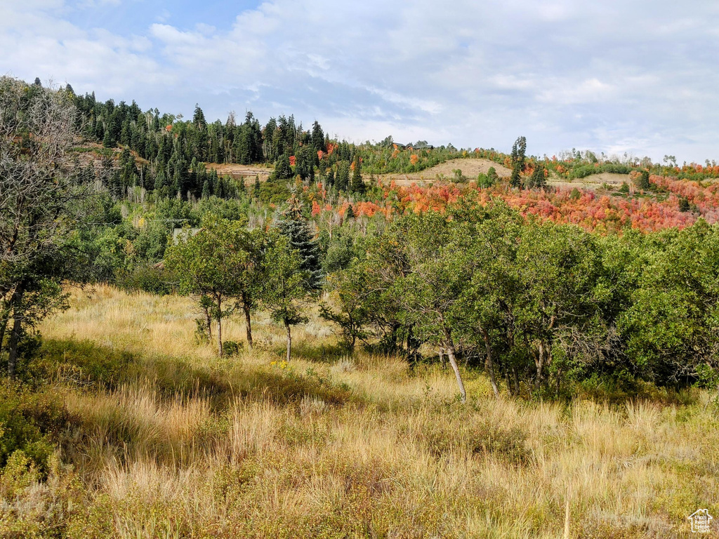 2514 S TIMBER LAKES DR Heber City, UT 84032