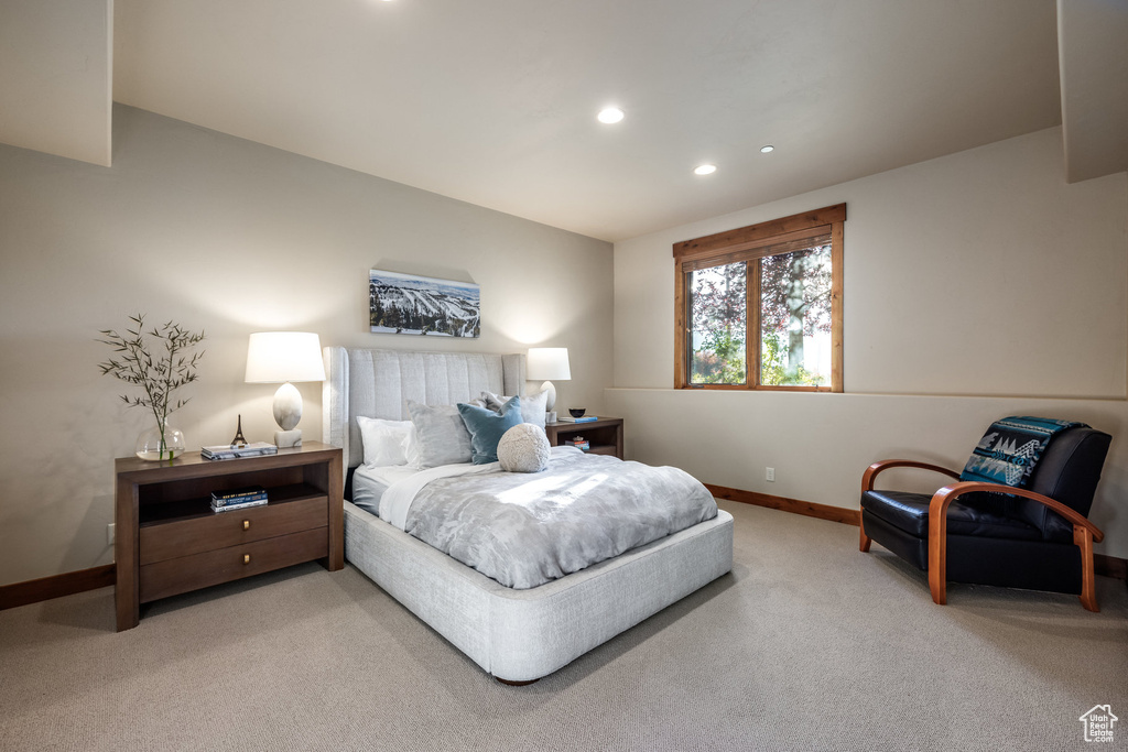 Photo 38 for MLS #2109708 at 3592 Solamere Dr