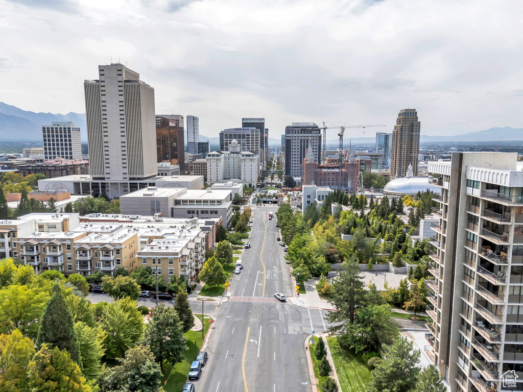 241 N VINE ST #1101E Salt Lake City, UT 84103