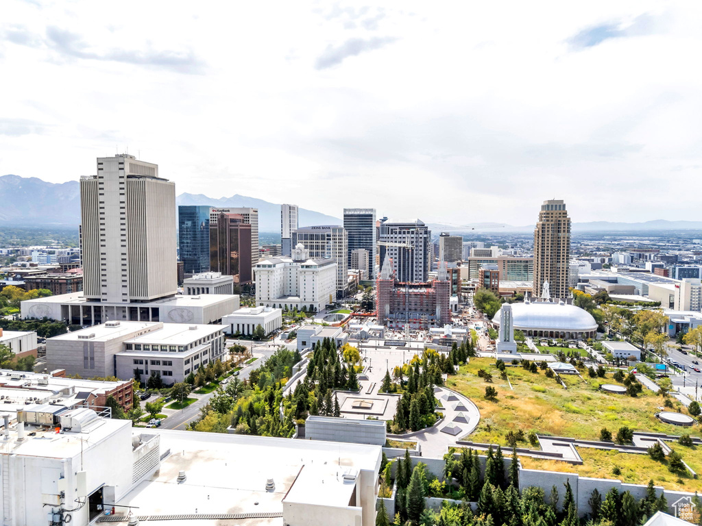 241 N VINE ST #1101E Salt Lake City, UT 84103