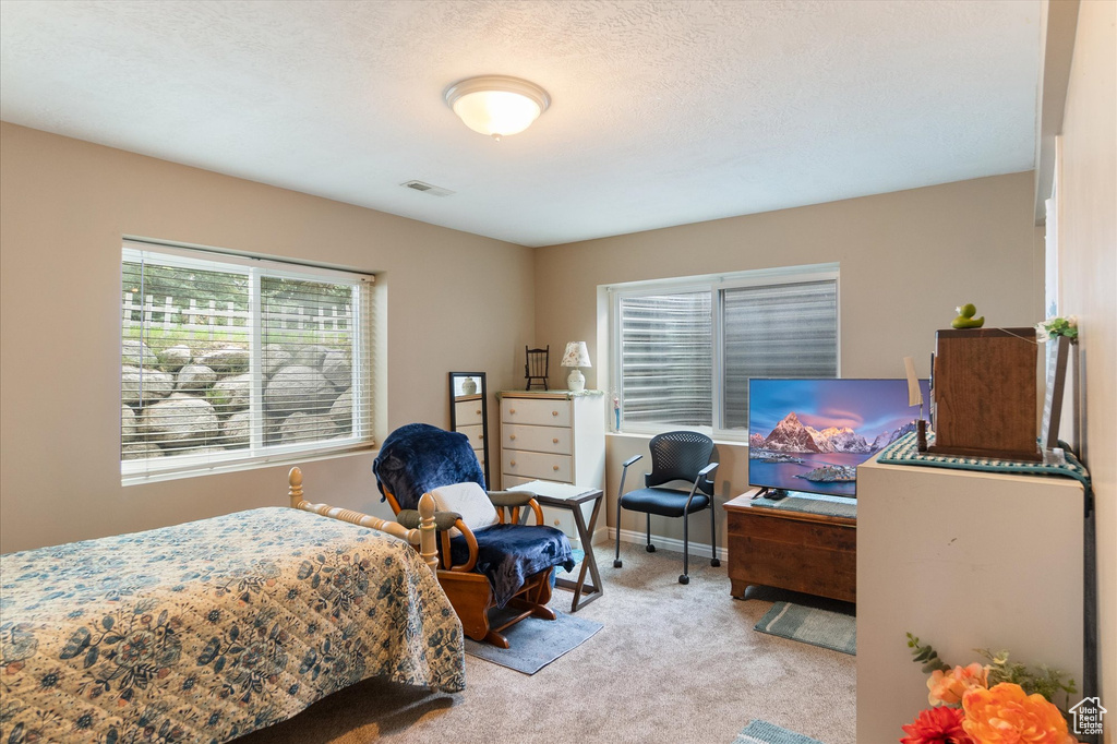 13826 S TOM SHOEMAKER CIR Draper, UT 84020