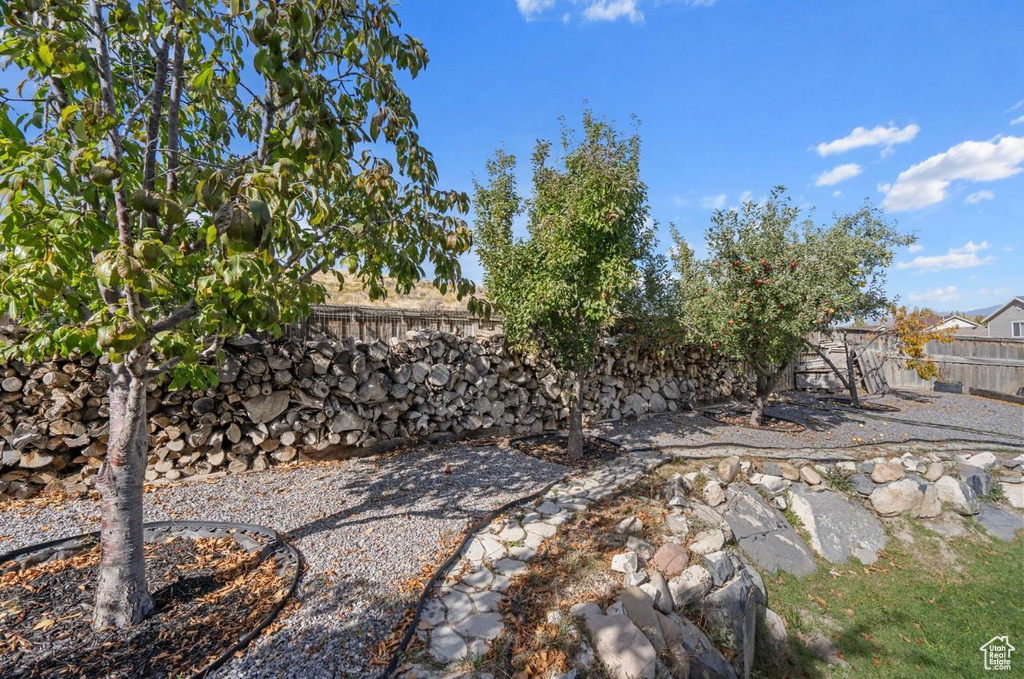 Photo 45 for MLS #2109785 at 7265 N Ute Dr