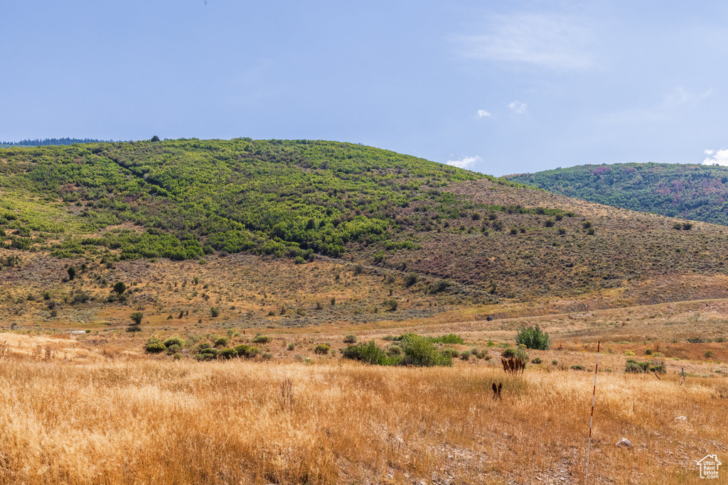 1226  DOVETAIL DR Kamas, UT 84036