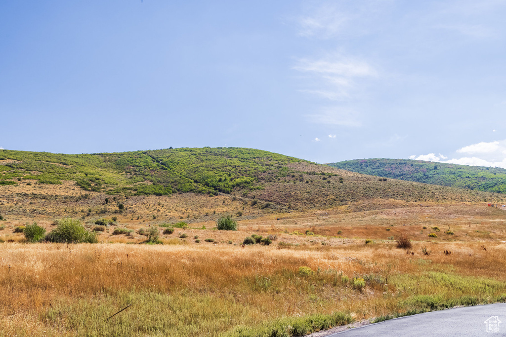 1226  DOVETAIL DR Kamas, UT 84036