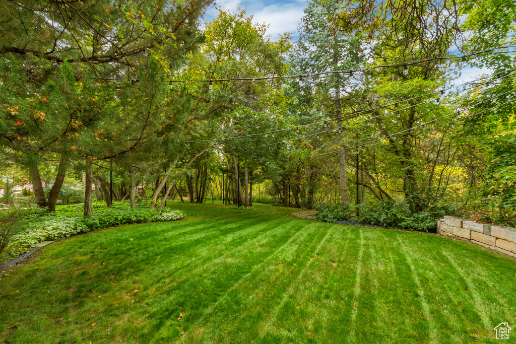 Photo 134 for MLS #2109830 at 13322 N Grove Dr