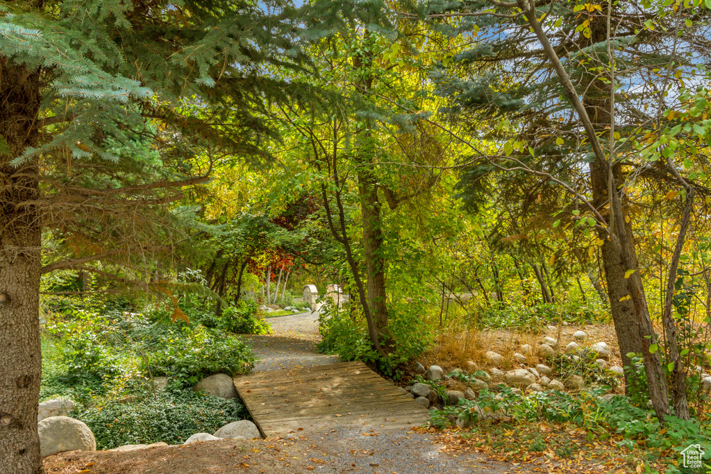Photo 129 for MLS #2109830 at 13322 N Grove Dr