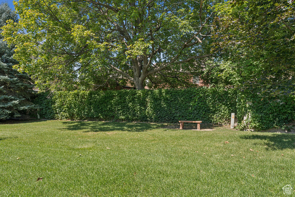 Photo 28 for MLS #2109832 at 464 N D St