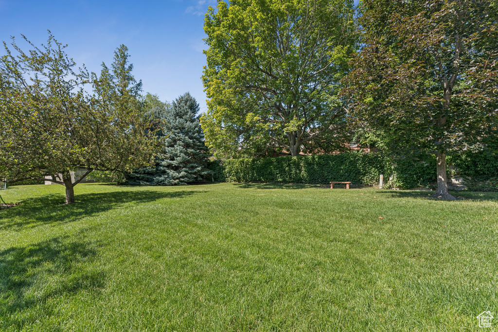 Photo 27 for MLS #2109832 at 464 N D St