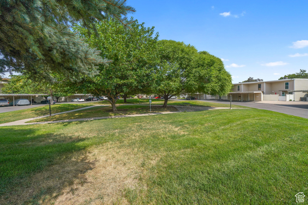 Photo 25 for MLS #2109834 at 5313 S Ben Davis Park