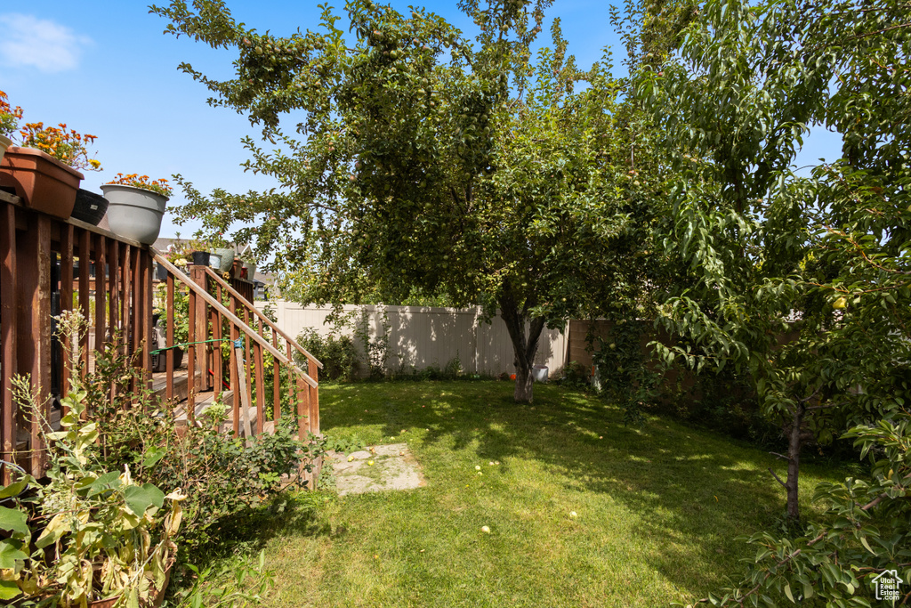 Photo 31 for MLS #2109867 at 3231 Lester St
