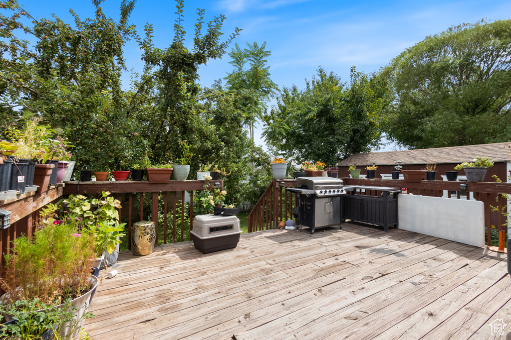 Photo 30 for MLS #2109867 at 3231 Lester St