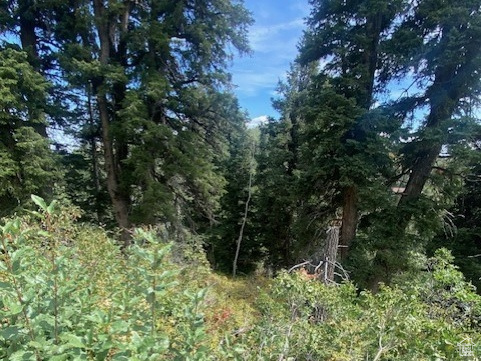 2393 S NAVAJO DR Coalville, UT 84017