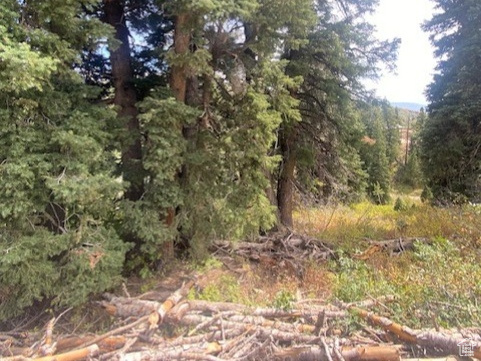 2393 S NAVAJO DR Coalville, UT 84017