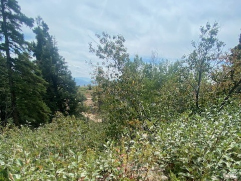 2393 S NAVAJO DR Coalville, UT 84017