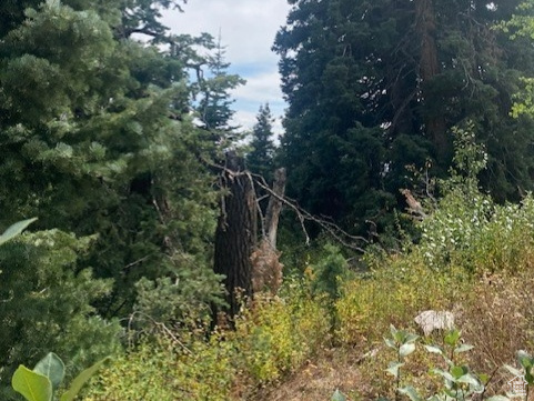 2393 S NAVAJO DR Coalville, UT 84017