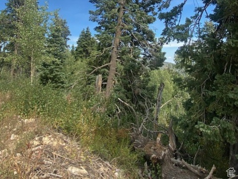 2393 S NAVAJO DR Coalville, UT 84017