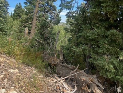 2393 S NAVAJO DR Coalville, UT 84017