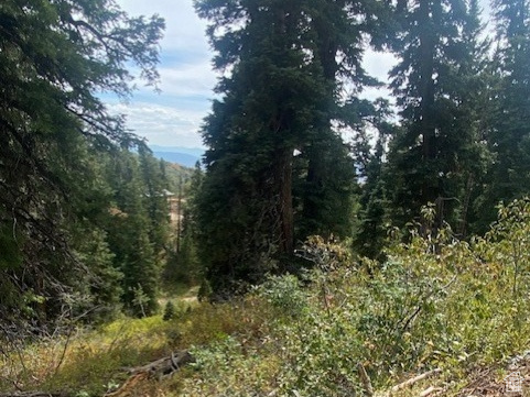 2393 S NAVAJO DR Coalville, UT 84017