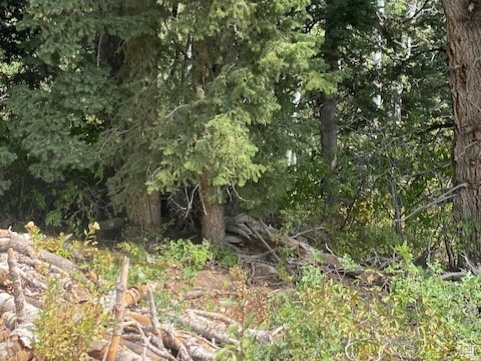 2393 S NAVAJO DR Coalville, UT 84017