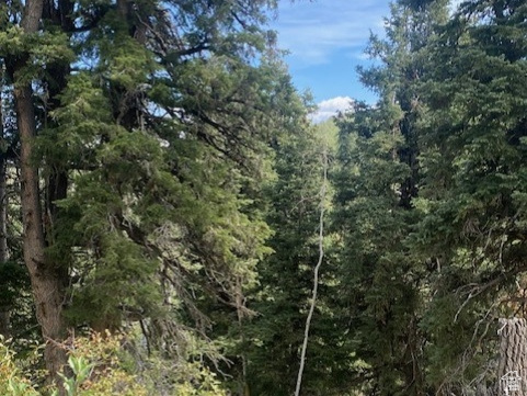 2393 S NAVAJO DR Coalville, UT 84017