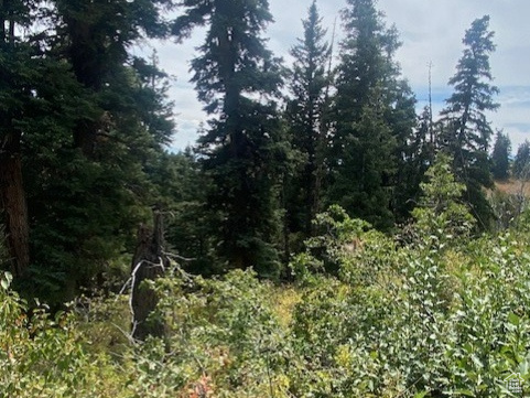 2393 S NAVAJO DR Coalville, UT 84017