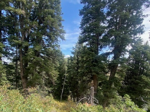 2393 S NAVAJO DR Coalville, UT 84017