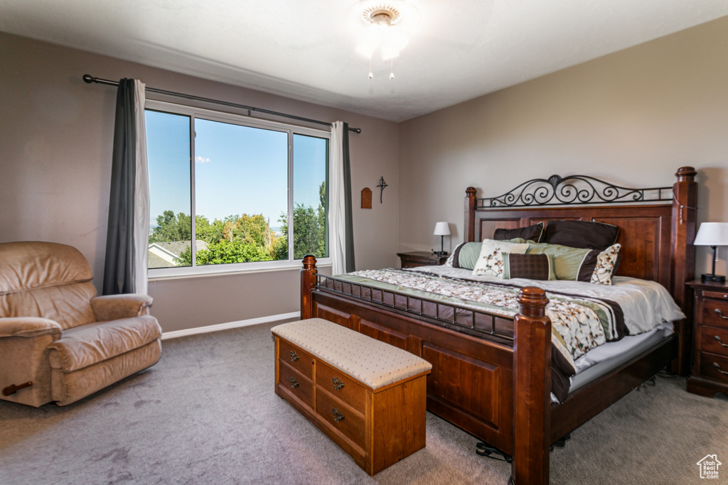 Photo 13 for MLS #2109882 at 13966 S Timber Ridge Dr