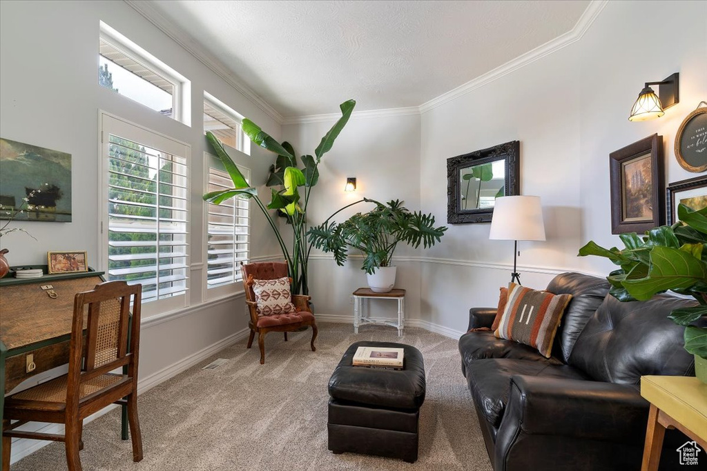 Photo 5 for MLS #2109887 at 6879 Black Powder Rd