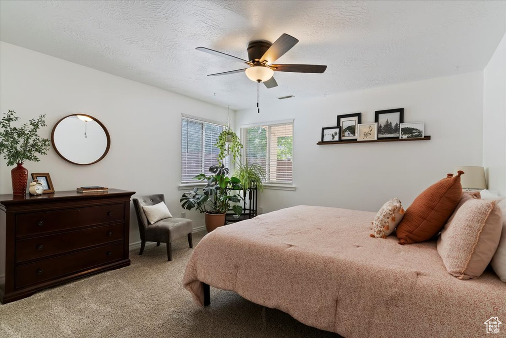 Photo 36 for MLS #2109887 at 6879 Black Powder Rd