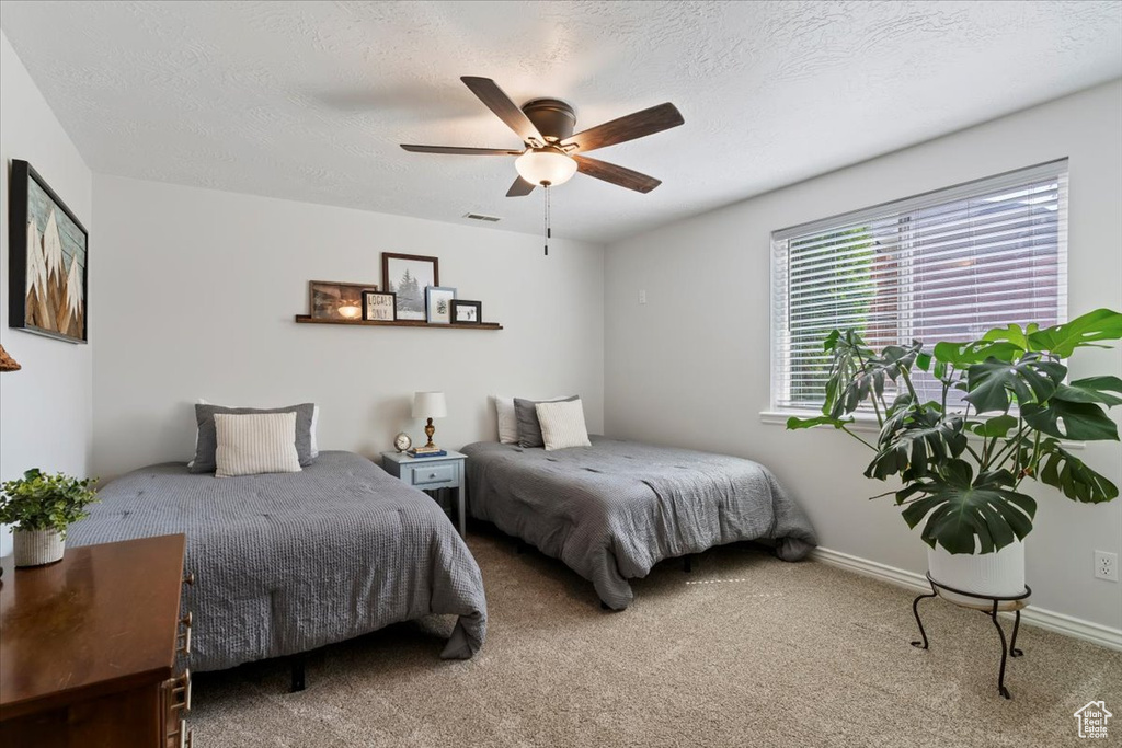 Photo 32 for MLS #2109887 at 6879 Black Powder Rd
