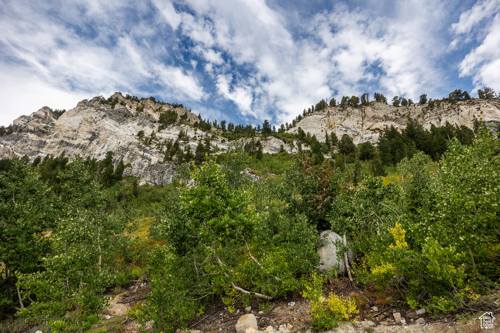 9876 E LITTLE COTTONWOOD CYN Alta, UT 84092