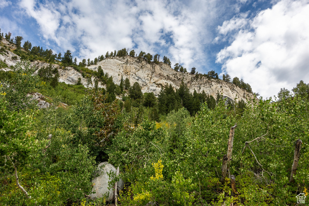 9876 E LITTLE COTTONWOOD CYN Alta, UT 84092