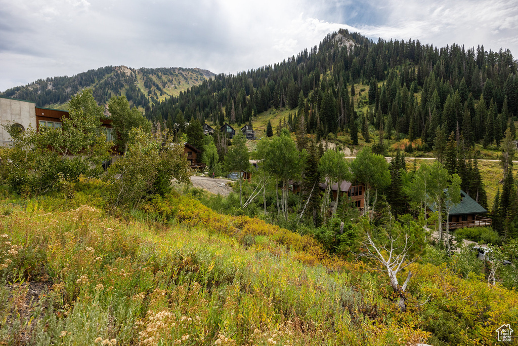 9876 E LITTLE COTTONWOOD CYN Alta, UT 84092