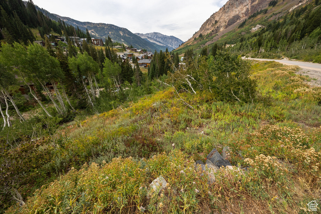 9876 E LITTLE COTTONWOOD CYN Alta, UT 84092