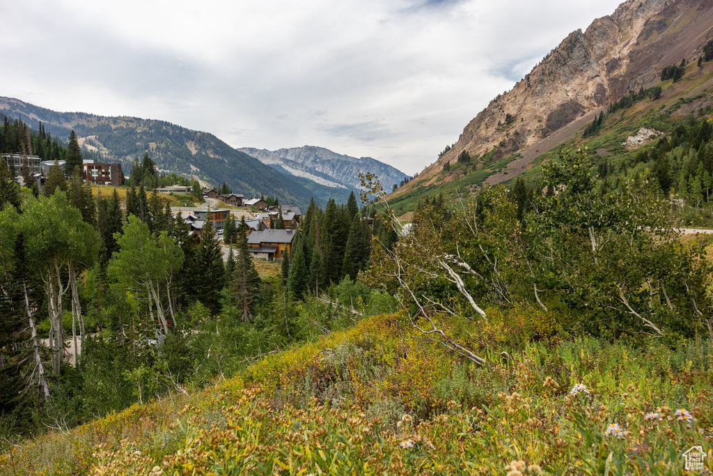 9876 E LITTLE COTTONWOOD CYN Alta, UT 84092