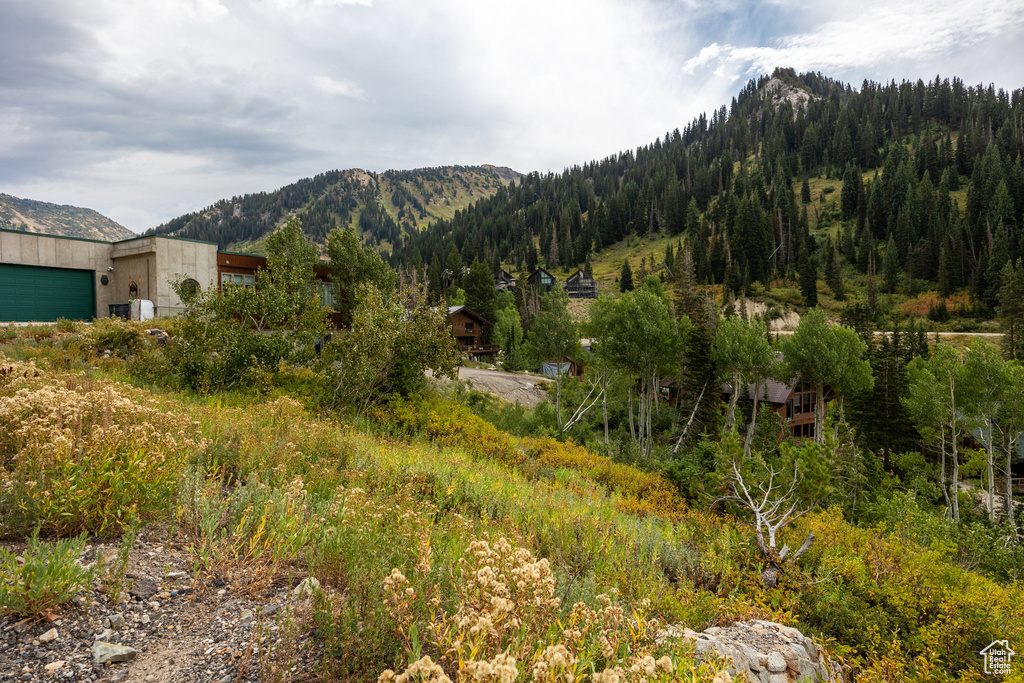 9876 E LITTLE COTTONWOOD CYN Alta, UT 84092