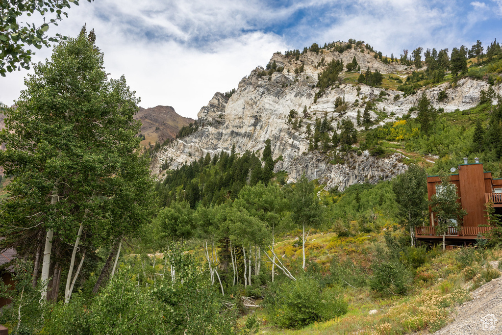 9876 E LITTLE COTTONWOOD CYN Alta, UT 84092