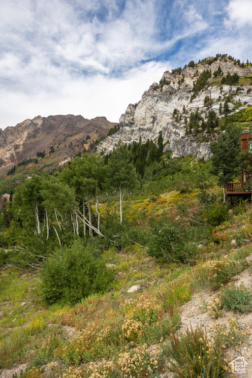 9876 E LITTLE COTTONWOOD CYN Alta, UT 84092