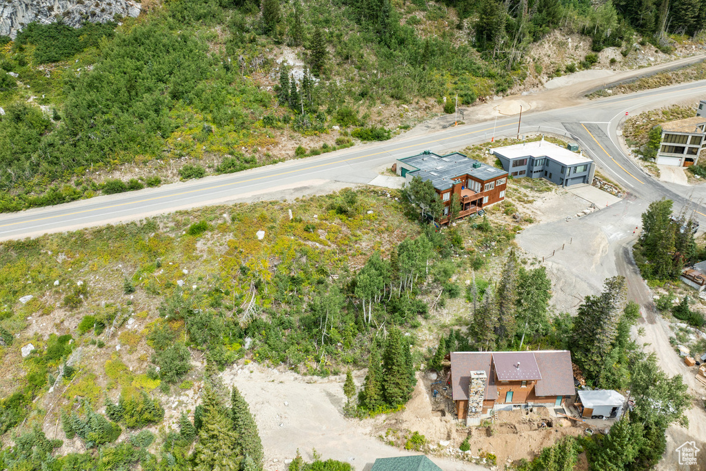 9876 E LITTLE COTTONWOOD CYN Alta, UT 84092