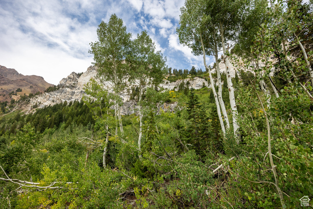 9876 E LITTLE COTTONWOOD CYN Alta, UT 84092